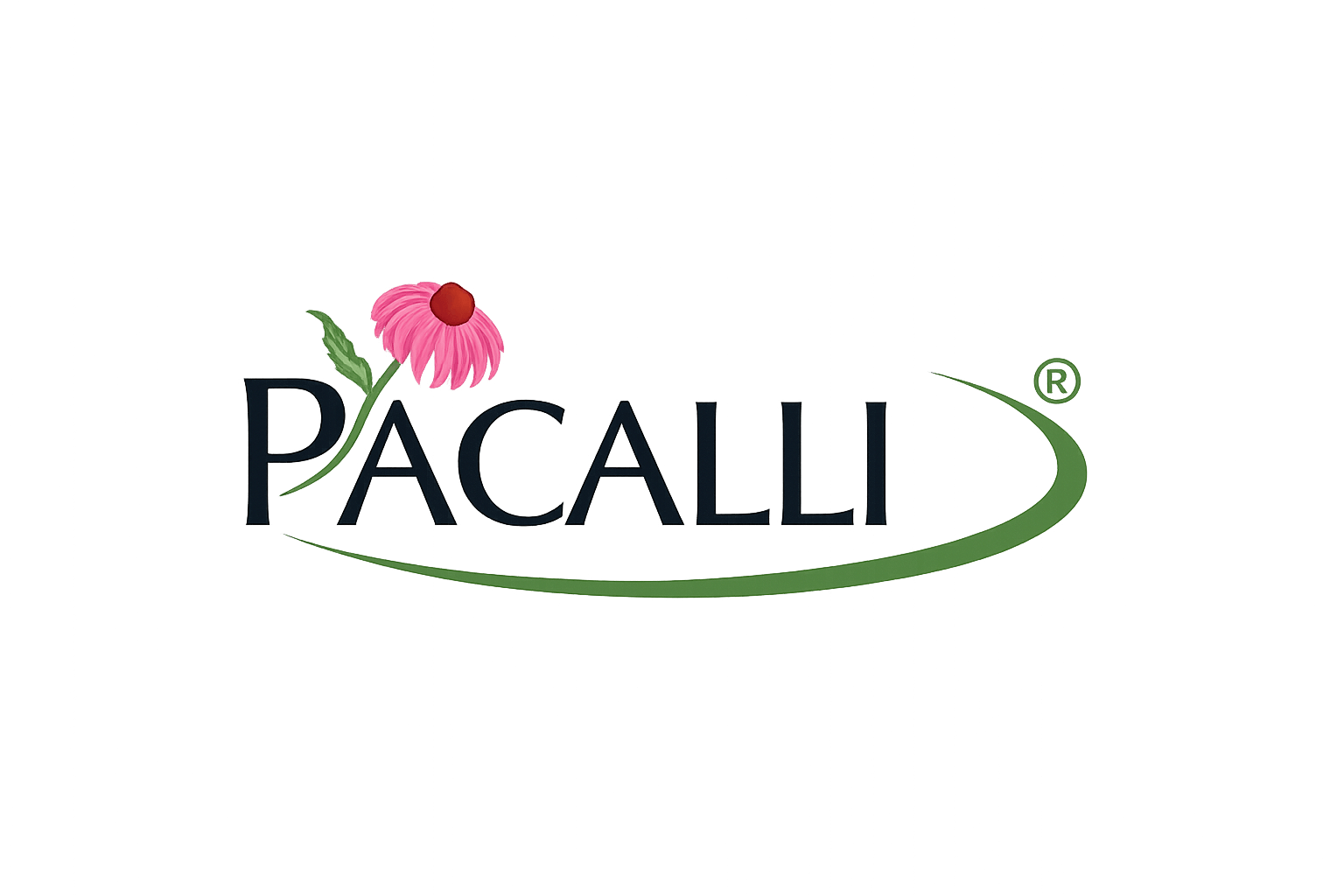 Logo de pacalli